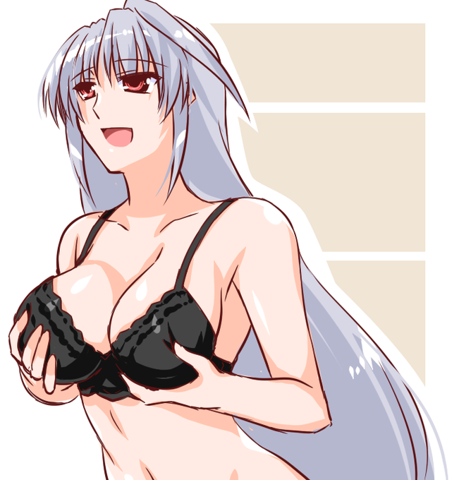 「主!主はやて!こちらもどうぞ!!」 