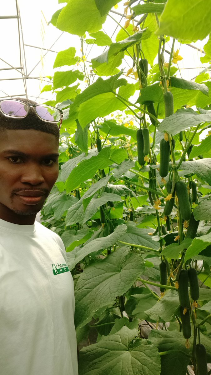 DefarmerAlex's tweet photo. One day parents will be advising their children to go and study agriculture in the university to become professional famers. When that time comes, I will be their boss because I've started early. https://t.co/Givo3oWtiY
