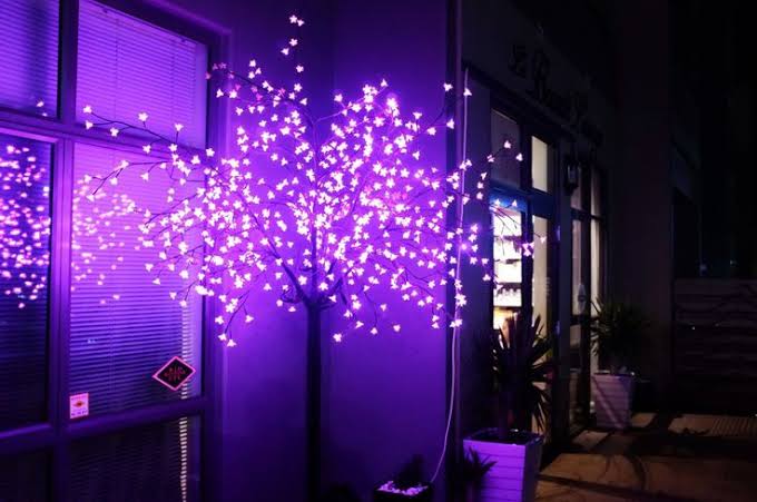 pseudonymoose12's tweet photo. Google your name + your favorite color + the word “aesthetic” and the first 4 (non collage) pics make your aesthetic board

Just wanted to try it but I'm in love with what I got 💜✨ https://t.co/Kt4omo0ZHq