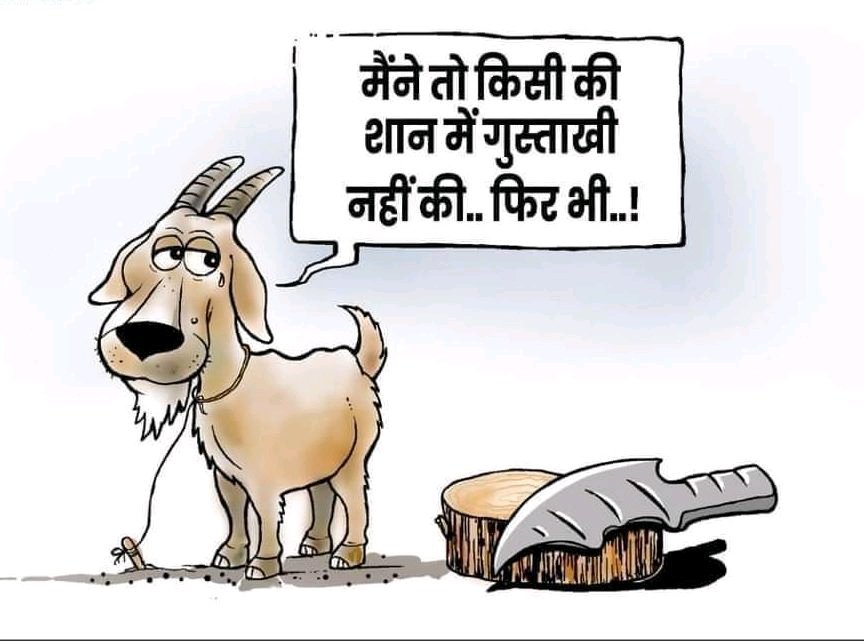 vire225's tweet photo. धर्म के नाम पर और कुर्बानी के नाम पर निर्दोष जीवों की हत्या करते हैं..और भाई चारे की दुहाई देते हैं... 
विचित्र लोग हैं इस संसार में जो दूसरों के गले काटकर अपनों से गले मिलते हैं और जीव हत्या की मुबारकवाद देते हैं।🥴🥴 https://t.co/L5lAng7Z2b