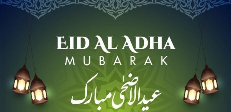 Aniqa Mujahid tweet media