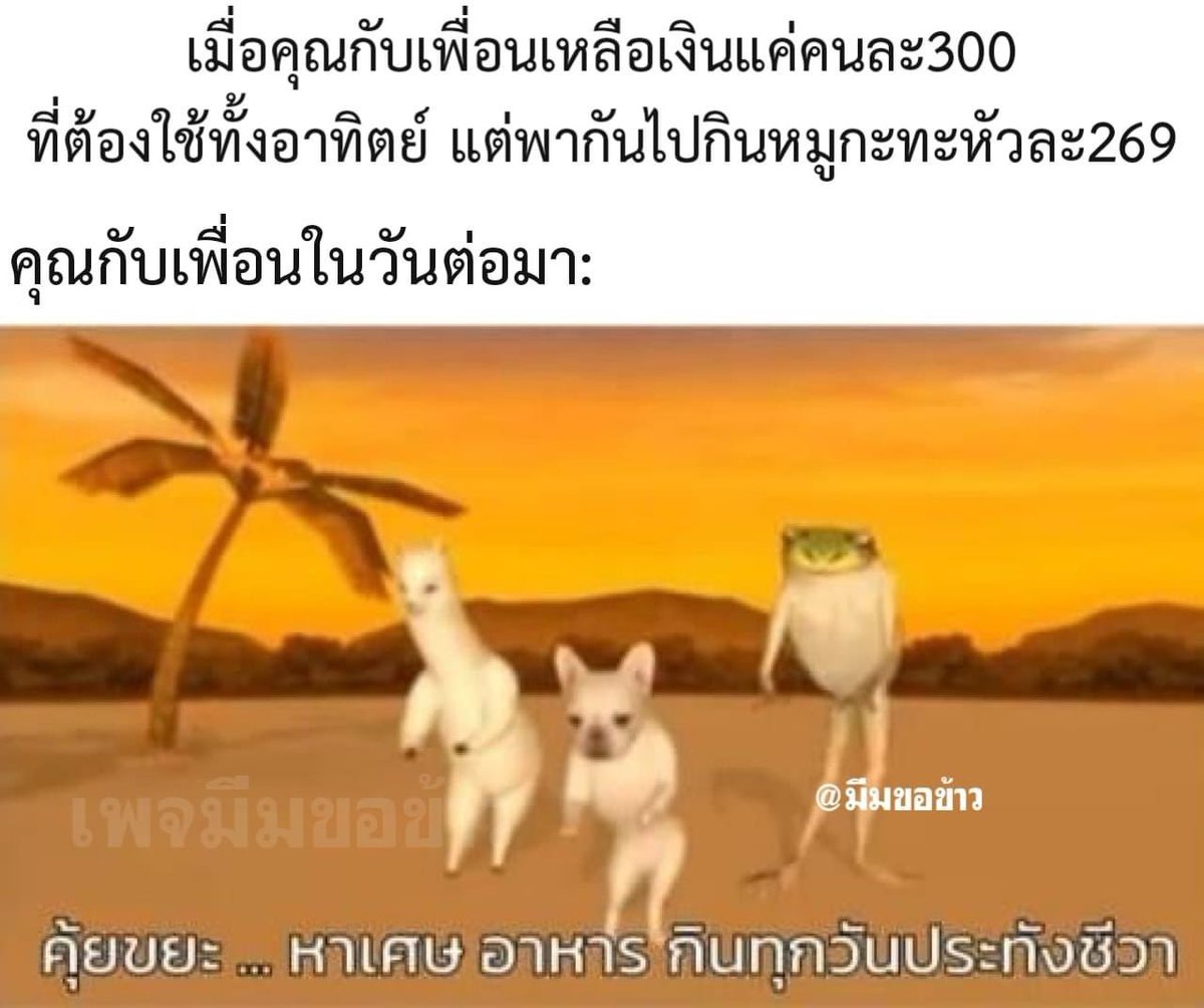 เหี้ยมากกก5555555555555