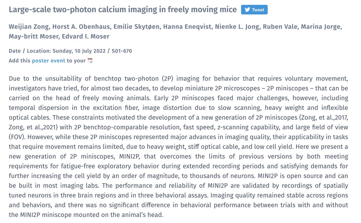 @KISNeuro is all over #FENS2022! Check out this morning's posters (9:30-1pm) from: @WikiZong and @EdvardMoser on @Mini2P (S01-670) &  @Idavrautio from the @JonRWhitlock lab (S01-078). 🧠🐀🔬 #KavliNeuro #KavliInstitute