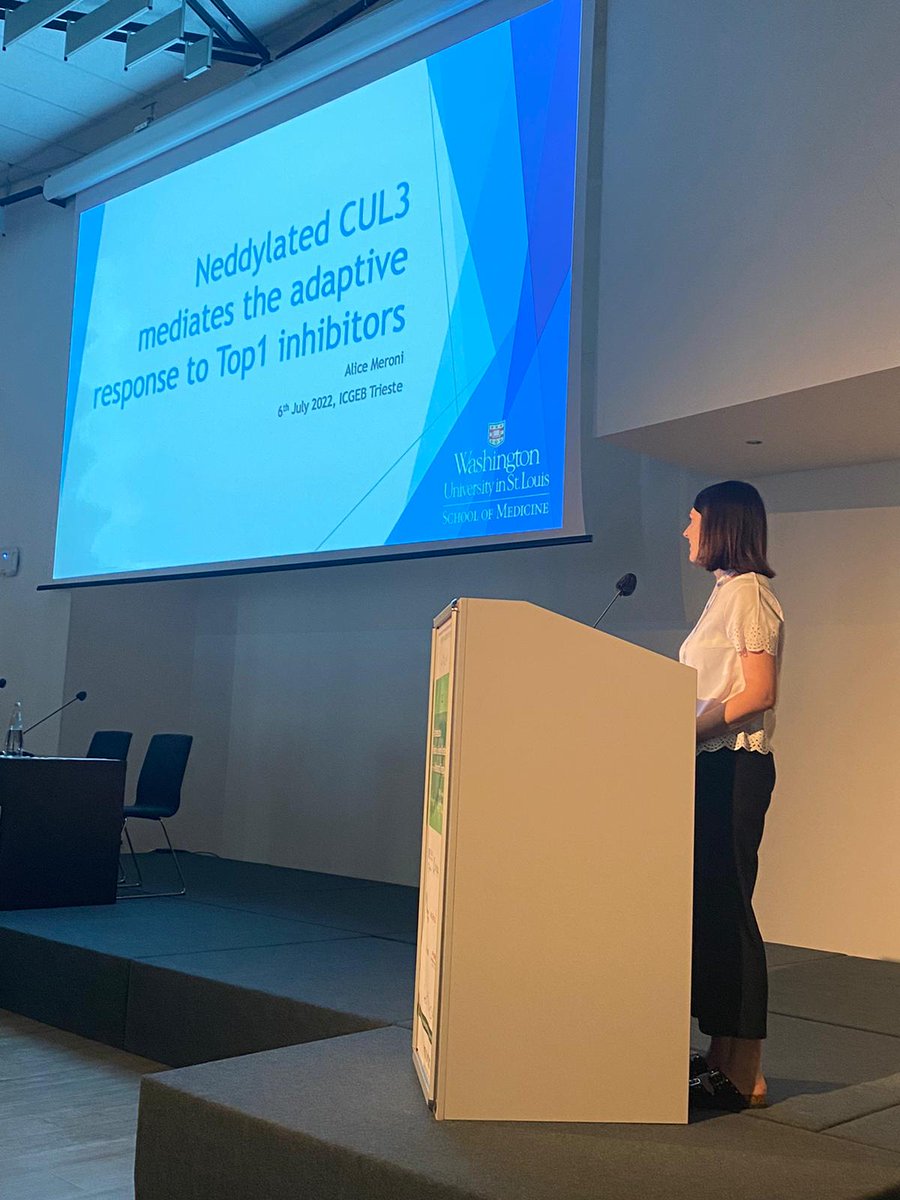 Alice Meroni (@meroni_alice) on Twitter photo ✅Presented my work on "Top1 inhibitors adaptation" at the DNA Replication and Genome Maintenance conference in Trieste <a href="/ICGEB/">ICGEB Official</a>.
Thank you for all the feedback and the suggestions. ✅Presented my work on "Top1 inhibitors adaptation" at the DNA Replication and Genome Maintenance conference in Trieste <a href="/ICGEB/">ICGEB Official</a>.
Thank you for all the feedback and the suggestions.