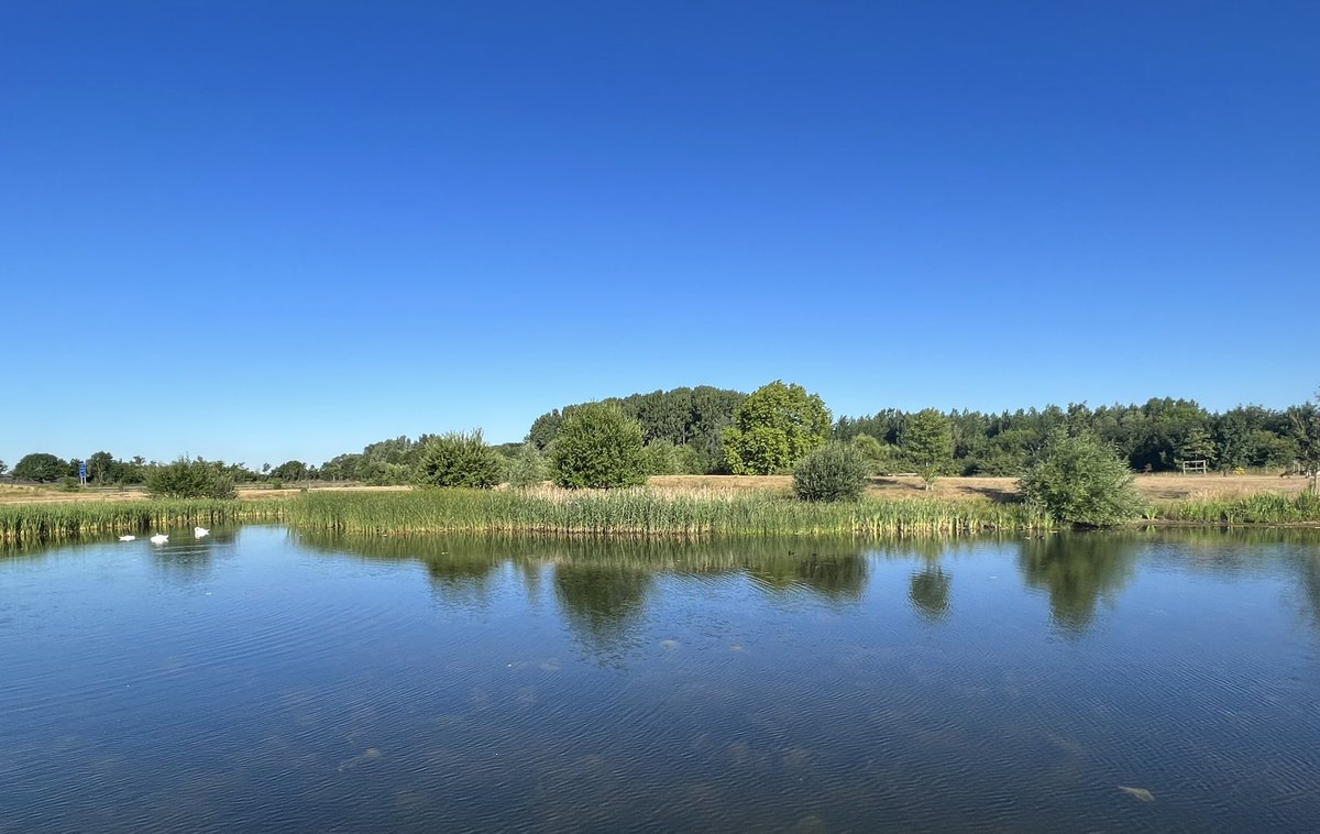 Ewan St. John Smith tweet media