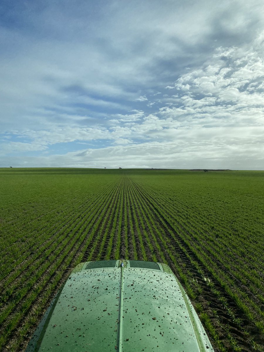 Jamie Nicolaou tweet media