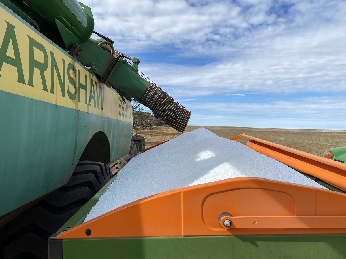 Jamie Nicolaou tweet media