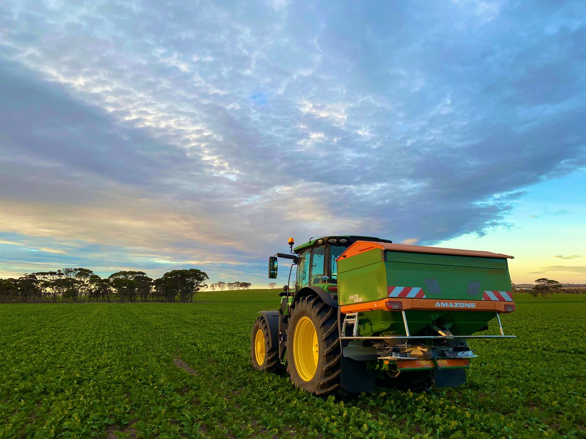 Jamie Nicolaou tweet media