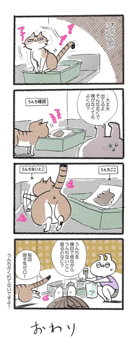 猫ちゃんほんとに面白いよね!#るーさん #るー3 #日常 #日記 #4コマ漫画  