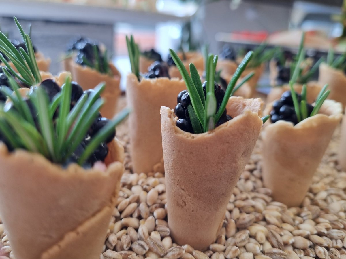 Devon_Wright tweet media