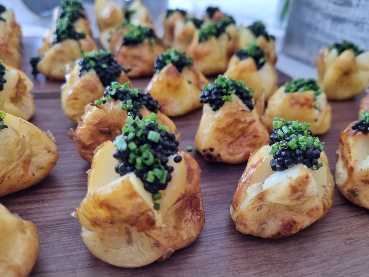 Devon_Wright tweet media