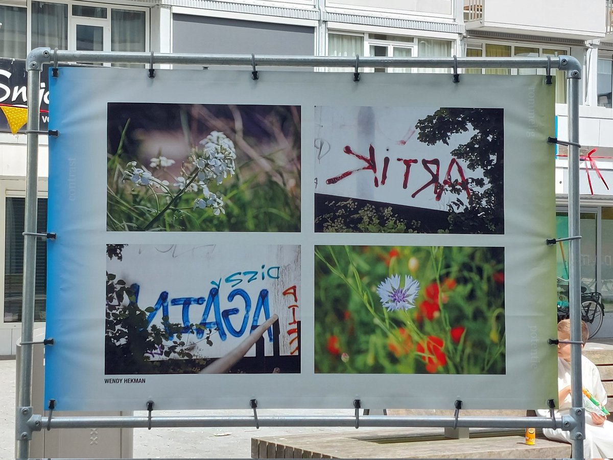 Wampie1977's tweet photo. Foto's van de foto expositie opening op het August Allebéplein 

#samenslotervaart #blikopslotervaart #Slotervaart #focusopnieuwwest #amsterdam #amsterdamnieuwwest #NieuwWest https://t.co/RKEqZ5fP0A