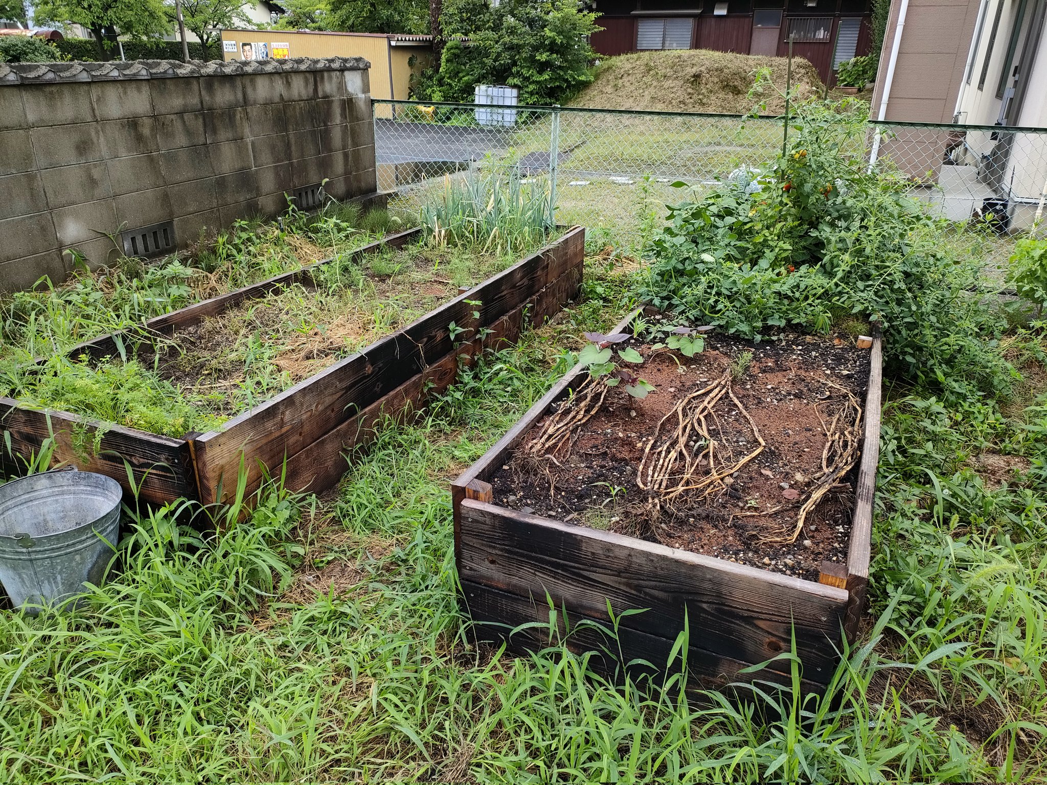 リリー 家庭菜園1年生 レイズドベッドの作り方 をプロに習ってきた 目から鱗 仲間がいれば Diy初心者の私にもできるかも 今年の夏はレイズドベッドdiyしてみます レイズドベッド 家庭菜園 家庭菜園初心者 T Co Vkkzohxvmx Twitter
