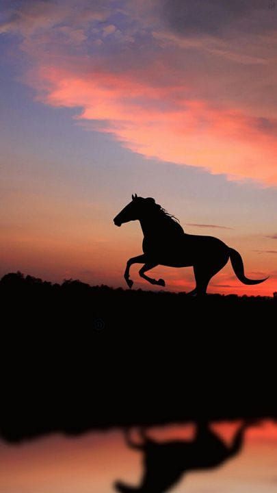 "لايوجد سبب مقنع بأن تيأس من الحياه، إن كان حُزناً فكُن من الصابرين، وإن كان فراق فكلنا راحِلون."