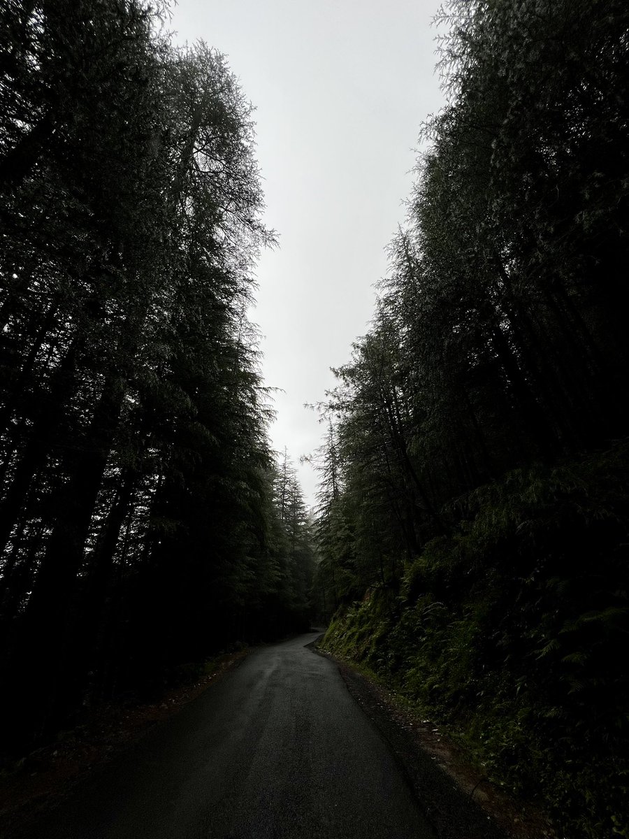 iamanthakur's tweet photo. Way to our Farm .
@Cheggifarms 
#HimachalPradesh #cheggifarms https://t.co/pXr0hIOMfw