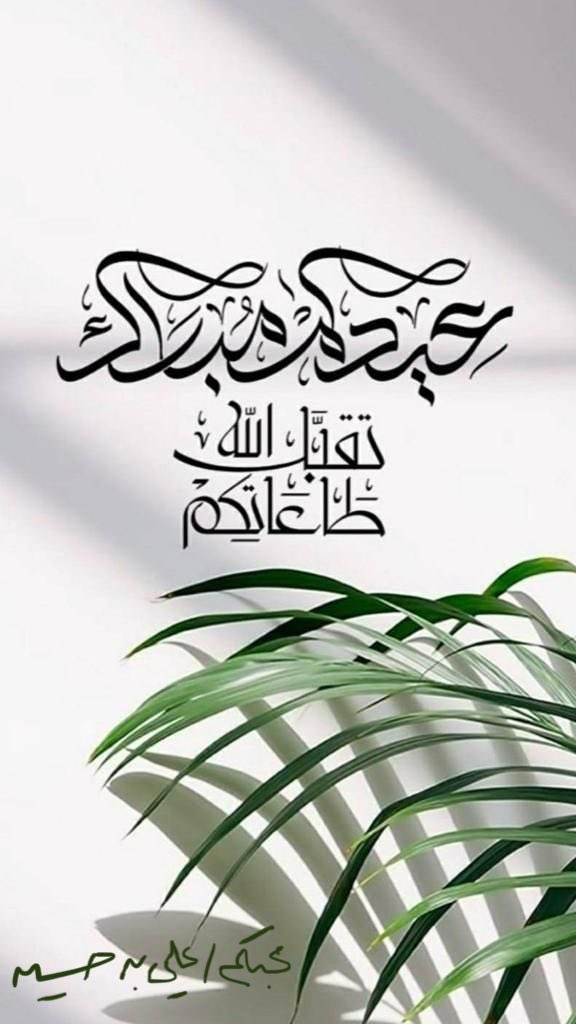 AliHAboali's tweet photo. https://t.co/8Tm5lz5ZId