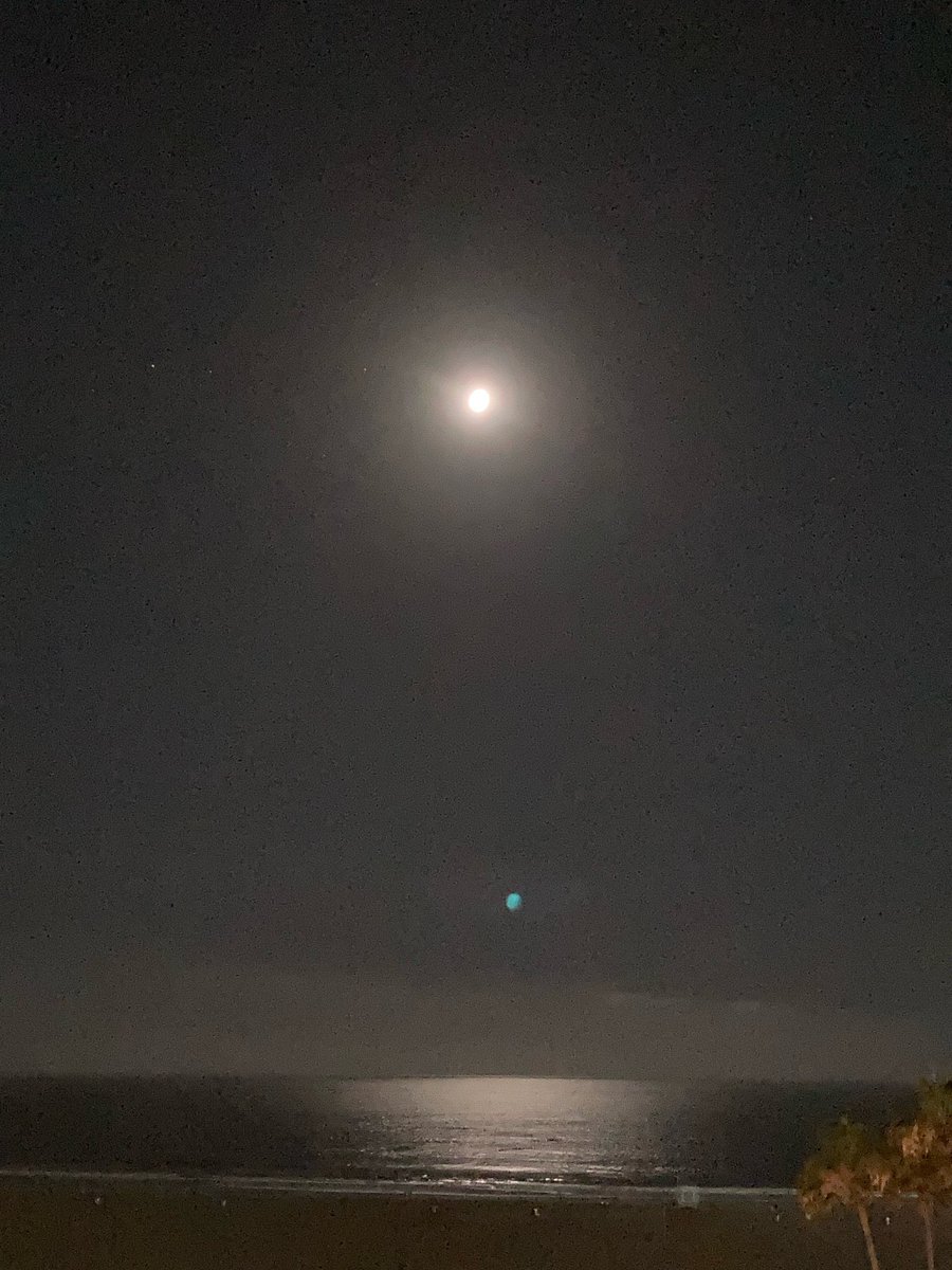 SkzLatamRecords's tweet photo. [220710] 💭🐶 1:14 AM

la luna brilla intensamente en medio del océano

Ah, ni la mitad de su belleza está contenida en la imagen, es muy bonita cuando la ves en persona

Quiero que la veamos juntos.. https://t.co/LeFh9B3chY