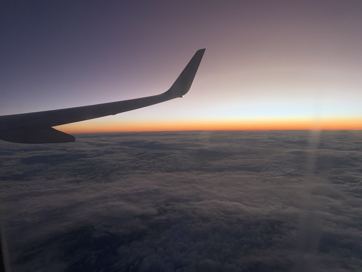 Teresa Ubide tweet media