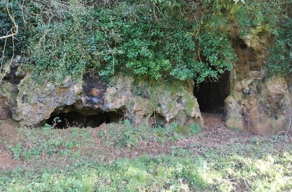 regcantabrorum's tweet photo. ¡Buenísimos días #Cantabria 💢! ¿Calor 🌞? Pues a la fresca 😋. Hoy desde el conjunto de #LosHoyos #Oreña, un espectacular núcleo de cavidades con decenas de evidencias del #Calcolitico 💀 y la #EdadDelBronce 🛖⚱️#historia #arqueologia 🥰 https://t.co/PCvOJM573N https://t.co/8Zl4ApeAUG