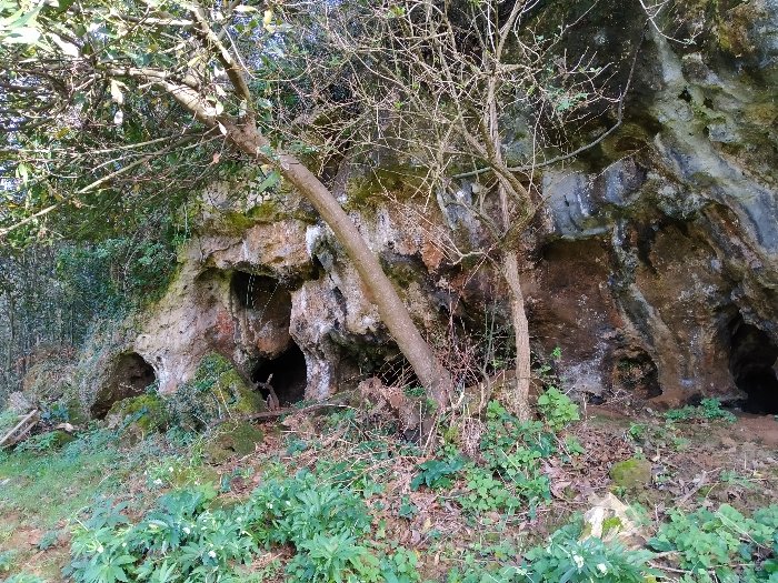 regcantabrorum's tweet photo. ¡Buenísimos días #Cantabria 💢! ¿Calor 🌞? Pues a la fresca 😋. Hoy desde el conjunto de #LosHoyos #Oreña, un espectacular núcleo de cavidades con decenas de evidencias del #Calcolitico 💀 y la #EdadDelBronce 🛖⚱️#historia #arqueologia 🥰 https://t.co/PCvOJM573N https://t.co/8Zl4ApeAUG