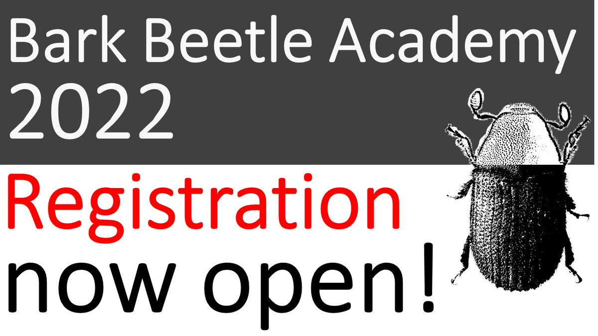 The BARK AND AMBROSIA BEETLE ACADEMY is coming in October, after 4 years! Interested in the most comprehensive, up-to-date information on these beetles, in a four-day, hands-on format? Great for agency specialists, students, researchers... register here: ambrosiasymbiosis.org/academy/