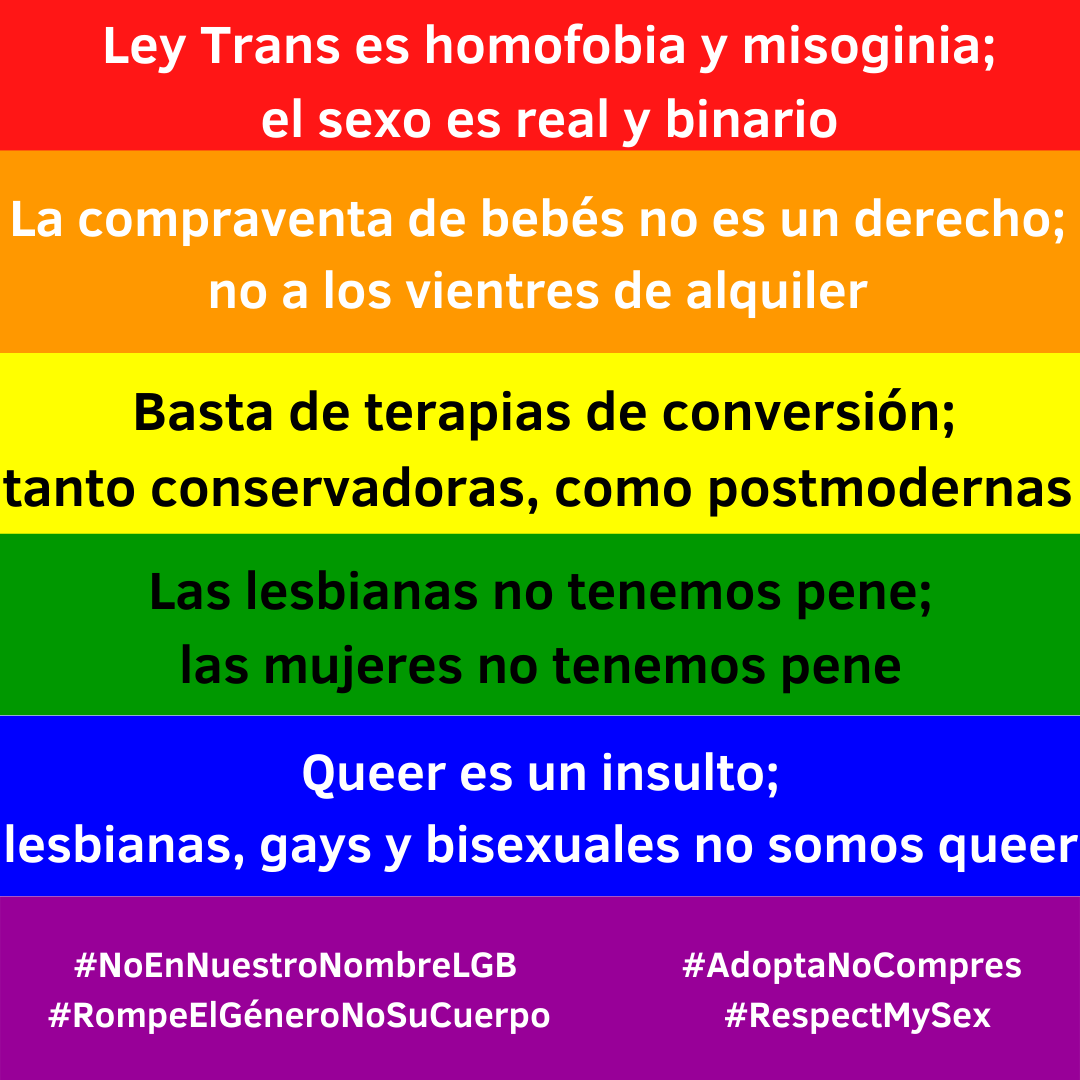 La bandera arcoíris no se saca para fomentar la explotación reproductiva de mujeres; ni para aliarse con farmacéuticas; ni para borrar el sexo.

Se usa para defender unos derechos; para que se respete nuestra orientación; para visibilizar nuestro orgullo de amar libremente.