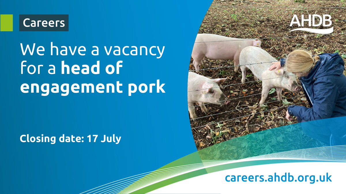 AHDB_Pork's tweet photo. We are #recruiting for someone with substantial experience and technical knowledge of the pig industry and its stakeholder organisations to join us as Head of Engagement (pork).

Interested? 💻 Find out more and apply before 17 July 22: https://t.co/Hli6lLkxZ4 #newjob @WatersJen https://t.co/B5hxskfHjE
