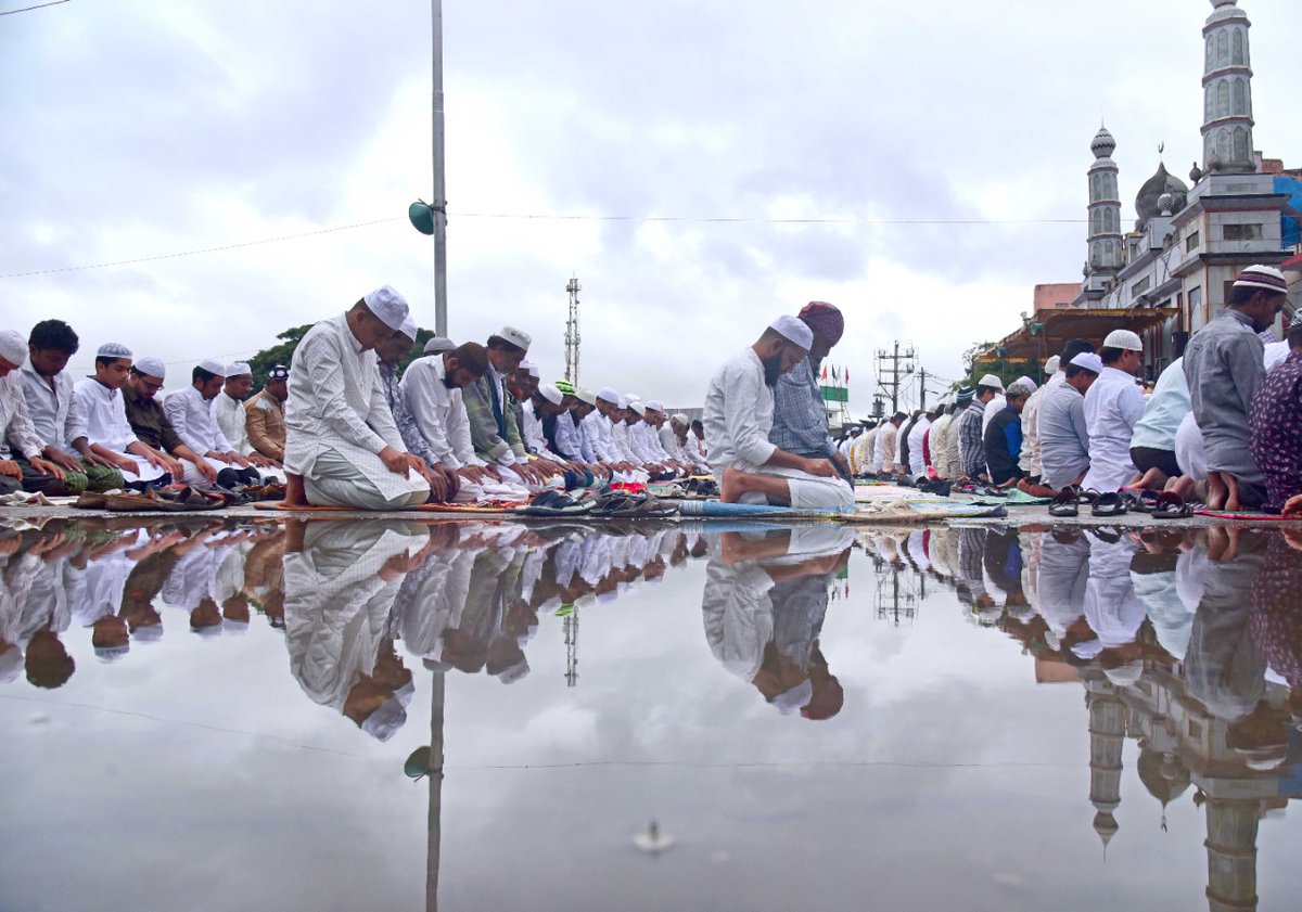 Petlee Peter tweet media