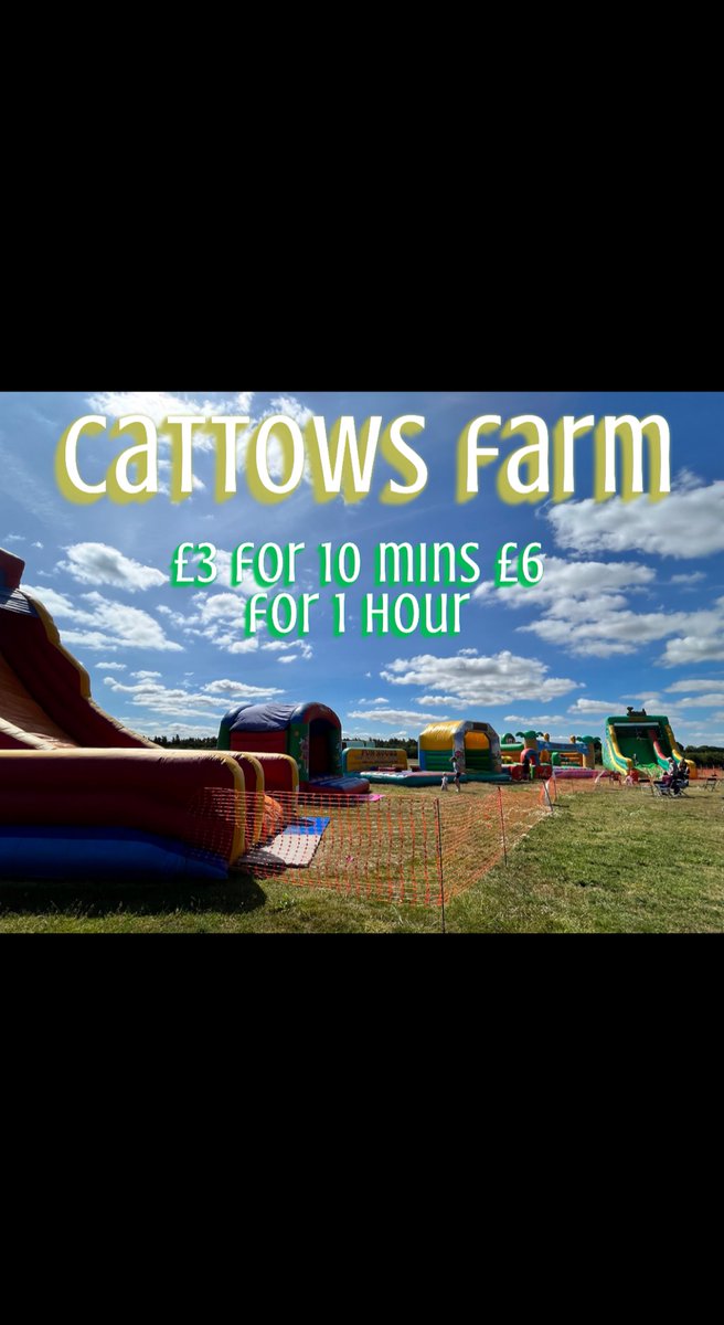 Fun House Bouncy Castles tweet media