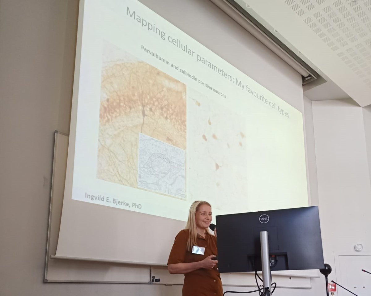 How are scientists using <a href="/EBRAINS_eu/">EBRAINS</a> to support their research? 

Leading up to #FENS2022, researchers from the Human Brain Project shared their insights on how they are leveraging the data and tools available on EBRAINS.

Learn more: bit.ly/3ADCzFz