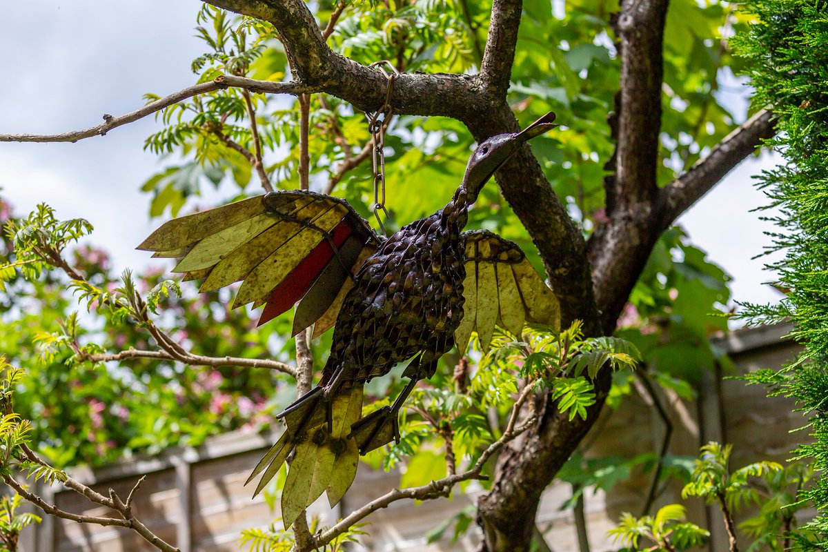 TravellersFinds's tweet photo. Hanging Flying Duck garden sculpture hand crafted from recycled metal.
ℹ️ https://t.co/FiherCC7YF
✅ Fair Trade &amp; handmade in Zimbabwe. 
✅ Made from recycled materials
✅ Each piece is unique
#gardeninspiration
#ducks #RecycleRevolution https://t.co/1M46UX3hGf