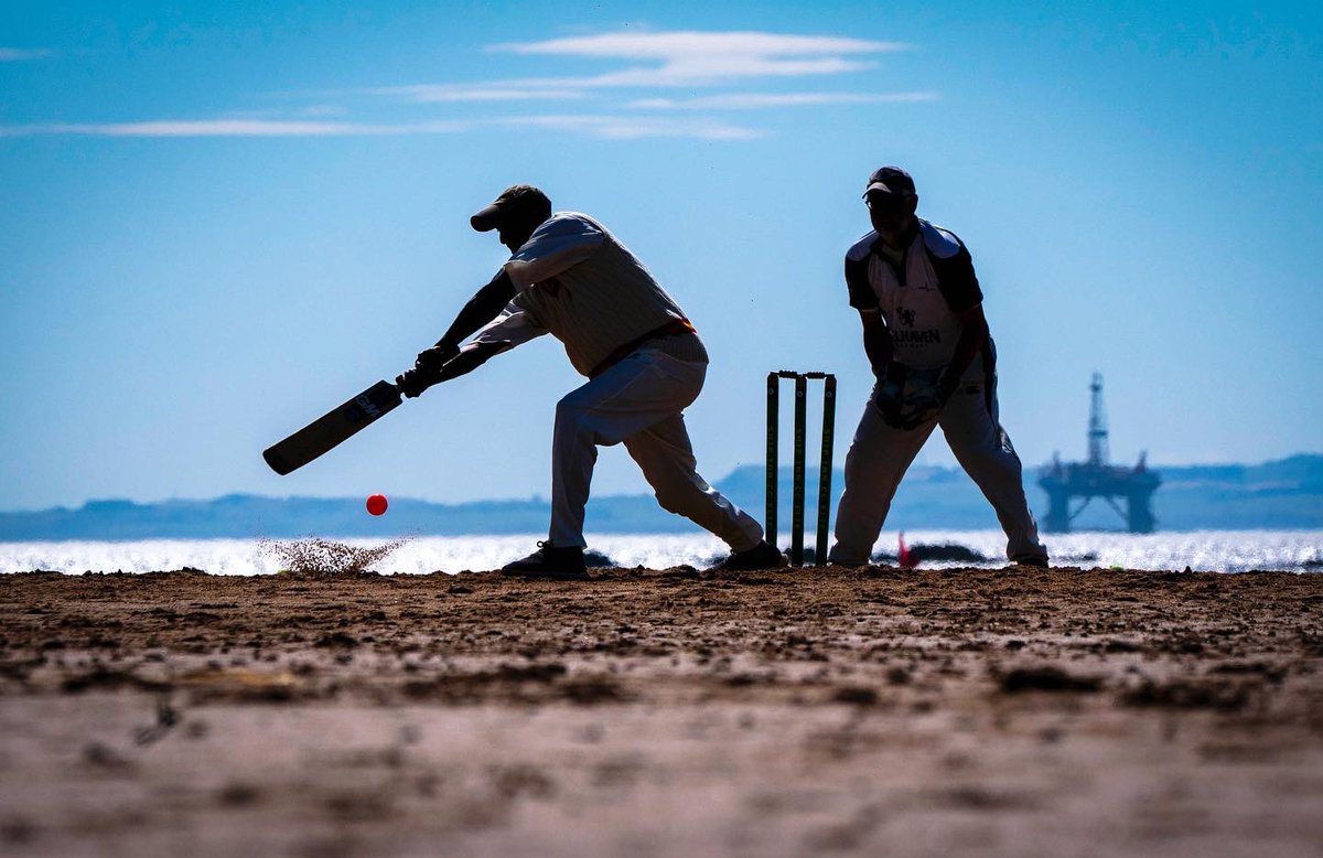 Jane Barlow tweet media