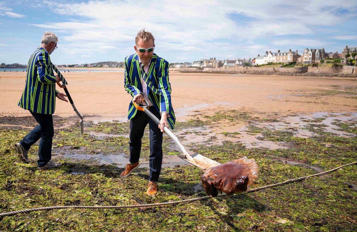 Jane Barlow tweet media