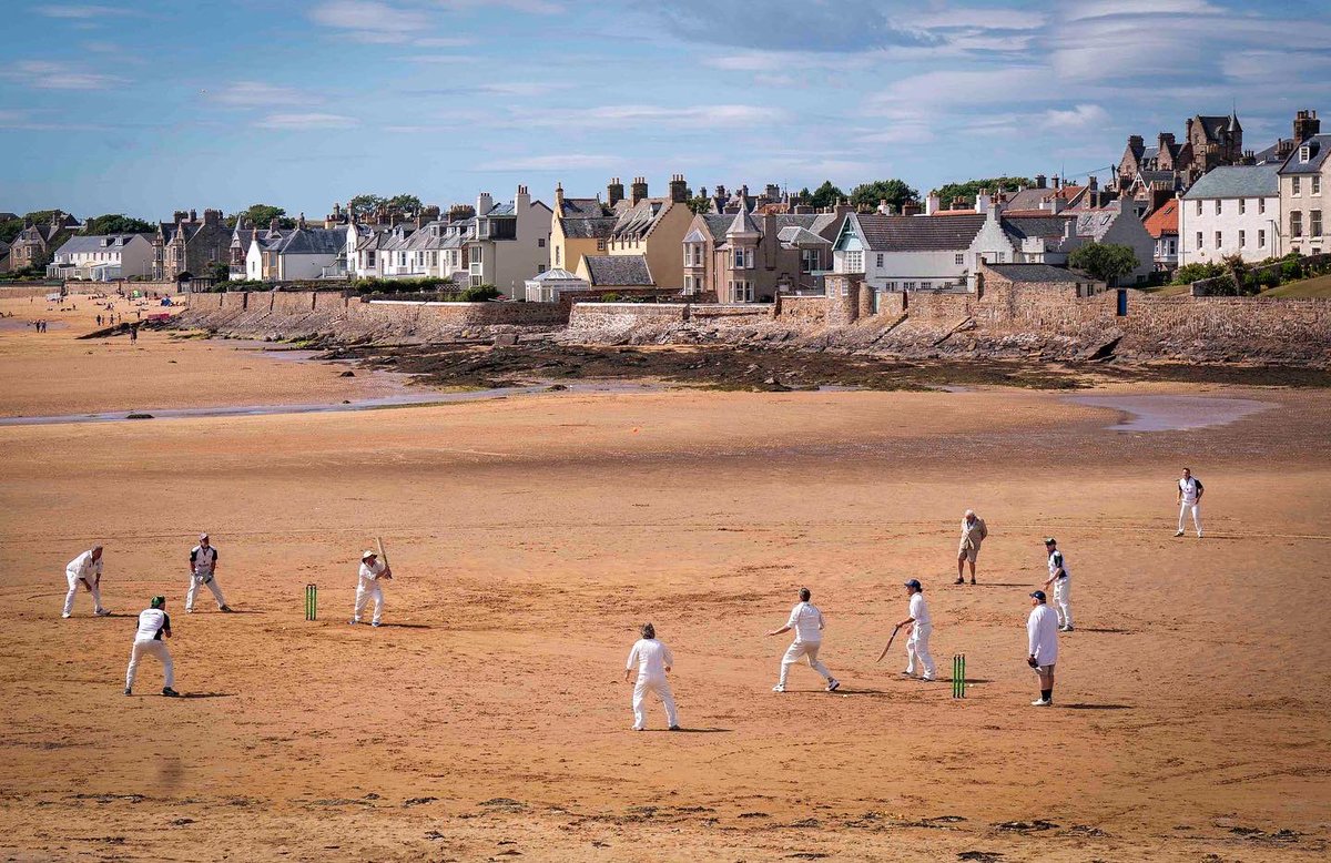 Jane Barlow tweet media