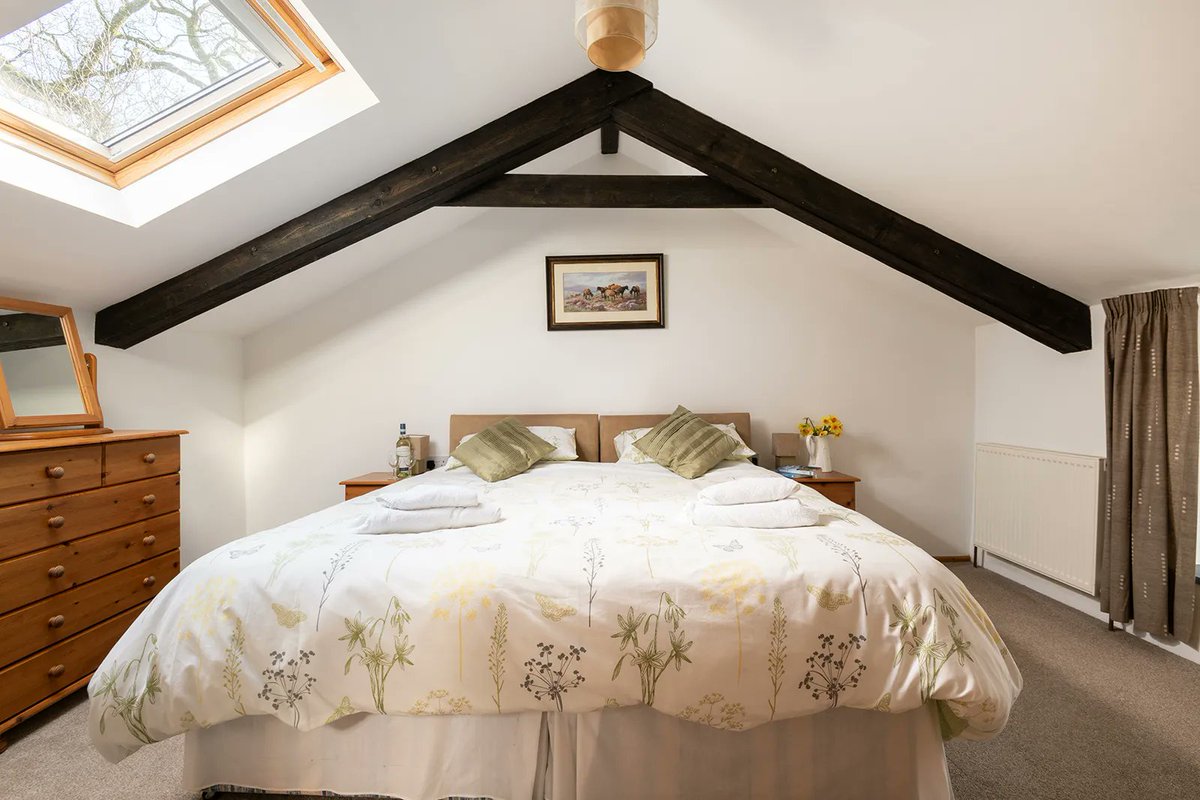 Handiscover tweet media