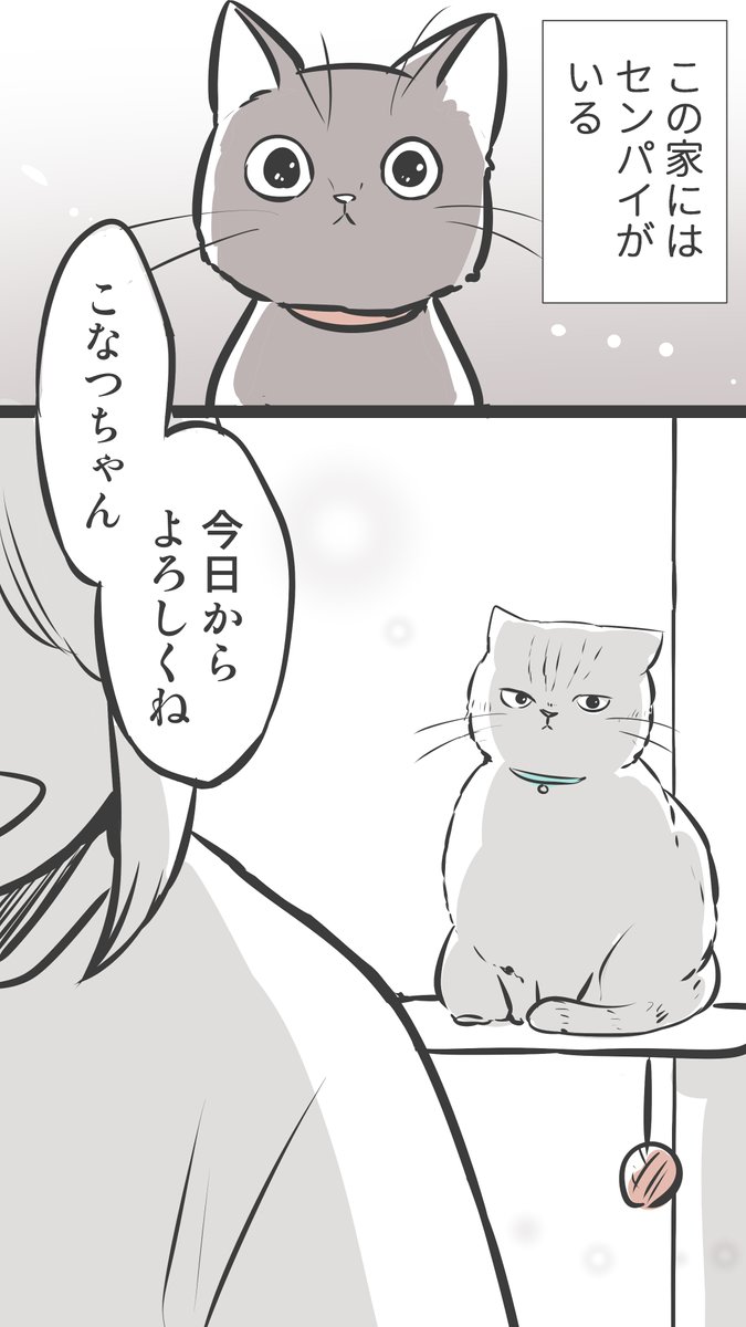 かっこいいセンパイの話
(※過去再掲)
#100話公開前企画
#マンガが読めるハッシュタグ (1/2)
