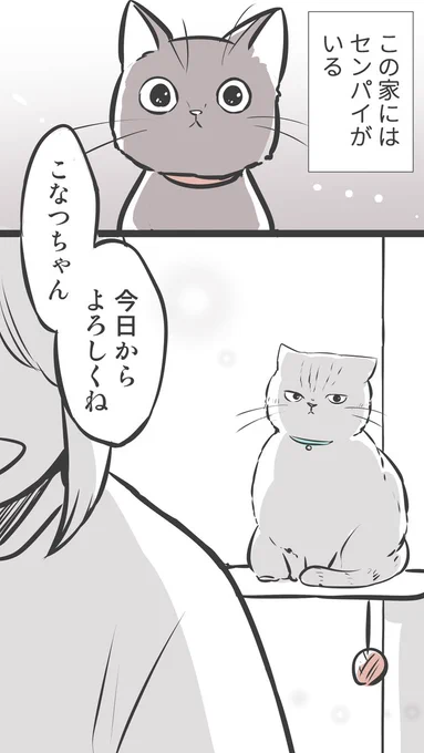 かっこいいセンパイの話

(※過去再掲)
#100話公開前企画 
#マンガが読めるハッシュタグ (1/2) 