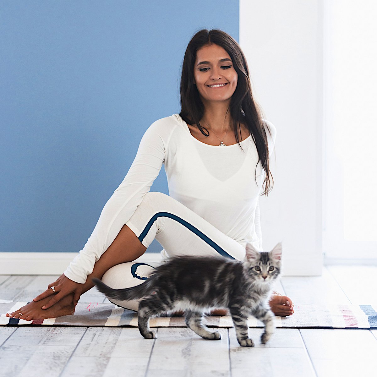MyViavito's tweet photo. Are your furry friends supporting you while you work out? 🐈 #nationalkittenday #Viavito #fitness #cat #kitten https://t.co/9aouE25YP3