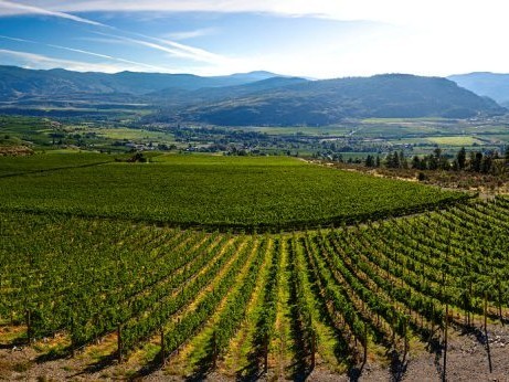 NatalieMacLean (@nataliemaclean) on Twitter photo Stories Behind Family-Owned Canadian Wineries (Video)
nataliemaclean.com/blog/videos/st…
What's your favourite Canadian wine ❓
Let me know in the comments 👇🏼
<a href="/lwwines/">Lightfoot&Wolfville</a> @coteaurougemont <a href="/pellerwines/">pellerwines</a> @dreawine @theviewwinery @HesterCreek1968 <a href="/winebcdotcom/">WineBCdotcom</a> @winesofns @winecountryont Stories Behind Family-Owned Canadian Wineries (Video)
nataliemaclean.com/blog/videos/st…
What's your favourite Canadian wine ❓
Let me know in the comments 👇🏼
<a href="/lwwines/">Lightfoot&Wolfville</a> @coteaurougemont <a href="/pellerwines/">pellerwines</a> @dreawine @theviewwinery @HesterCreek1968 <a href="/winebcdotcom/">WineBCdotcom</a> @winesofns @winecountryont