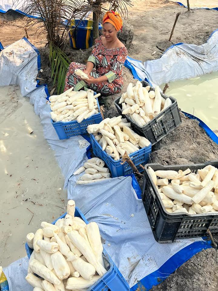 HamidaKamerhe's tweet photo. Nous venons d’entamer la récolte de notre manioc sur un étendu de 50 hectares, en lieu et place de notre projet pilote .
‘’Recommande à l'Eternel tes oeuvres, Et tes projets réussiront."
Proverbes 16 : 3
Manioc ya PEMBE 
￼
Courage aux agriculteurs ! 
Bon dimanche à tous !
HCK https://t.co/knqGJK9DQk