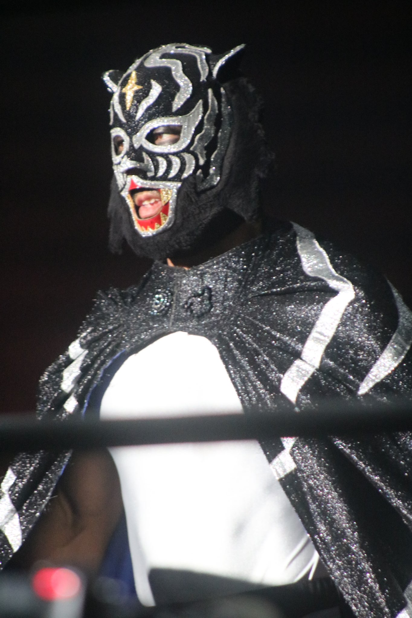 2代目ブラックタイガー 試合用マスク