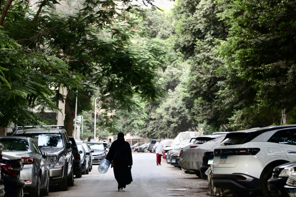 شبكة كيرنينج كلتشرز tweet media