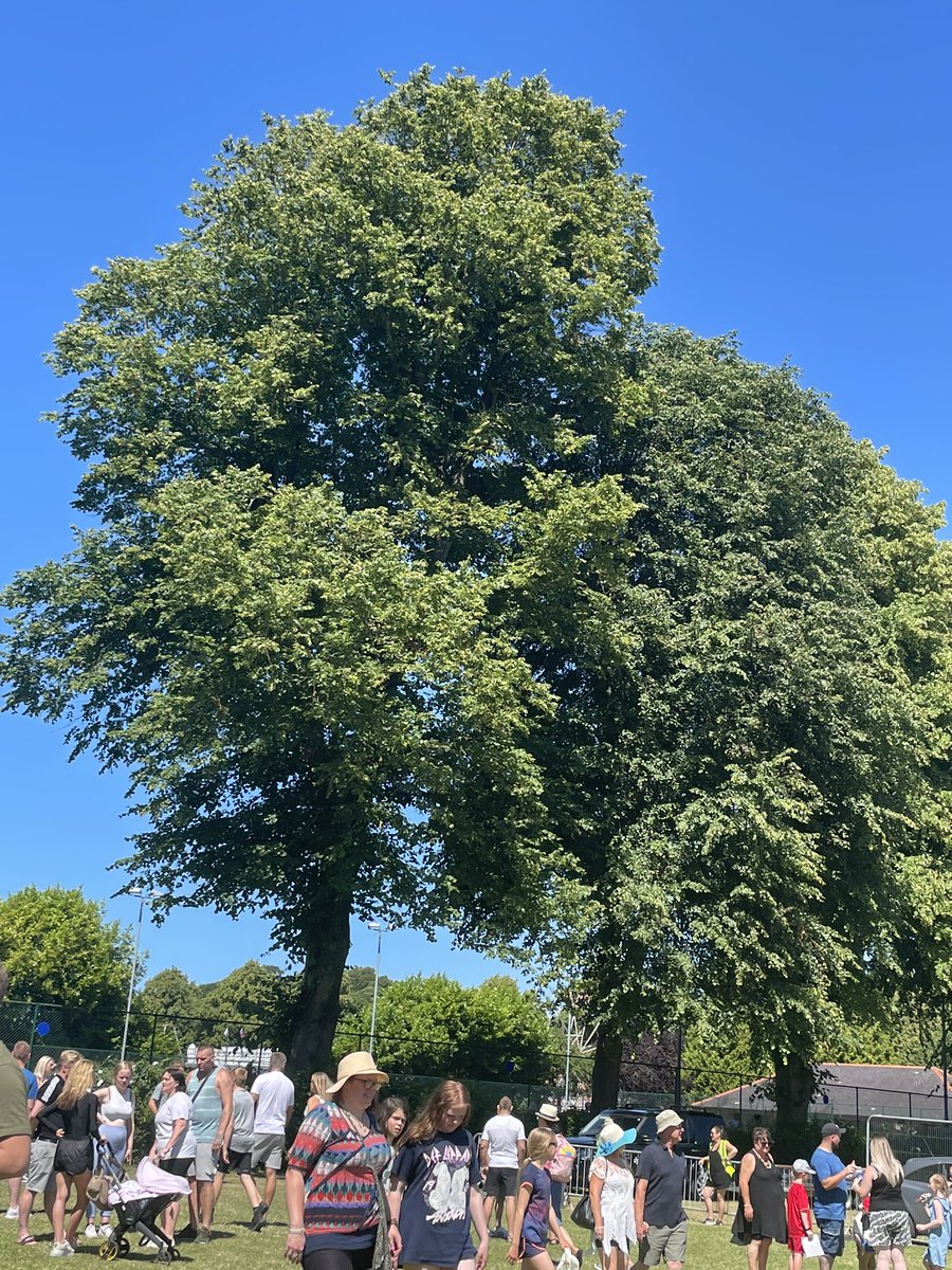 Jenny Murphy tweet media