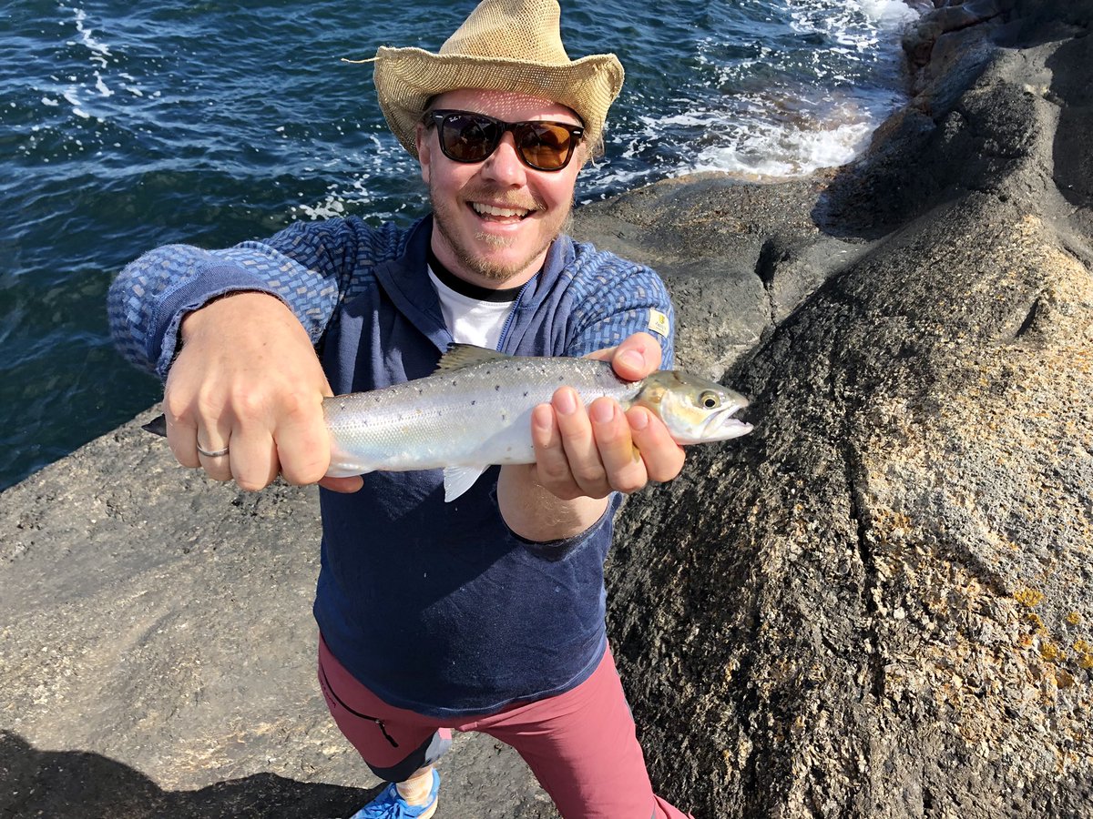mrjorgen's tweet photo. Liten fisketur. Bra uttelling. #Brunlanes #makrell #sjøørret https://t.co/h0CRfnZLb4