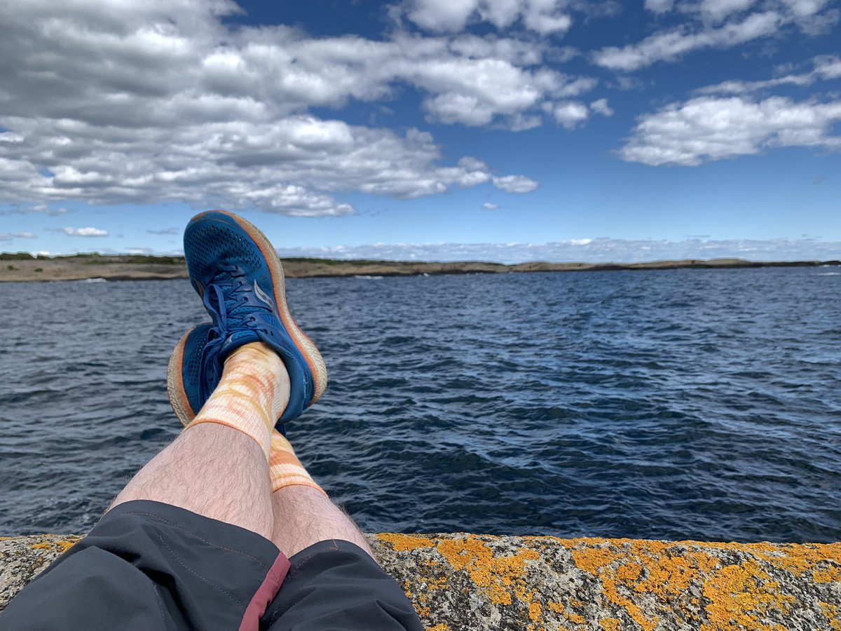 mrjorgen's tweet photo. Liten fisketur. Bra uttelling. #Brunlanes #makrell #sjøørret https://t.co/h0CRfnZLb4