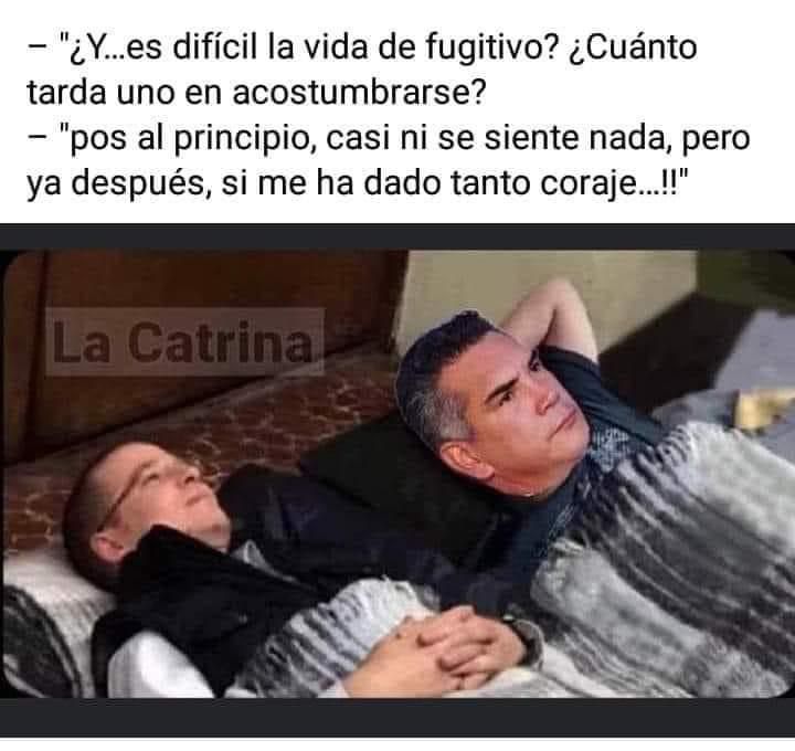 Rocio Mejia #MujeresXLa4T (@roxymexia) on Twitter photo 