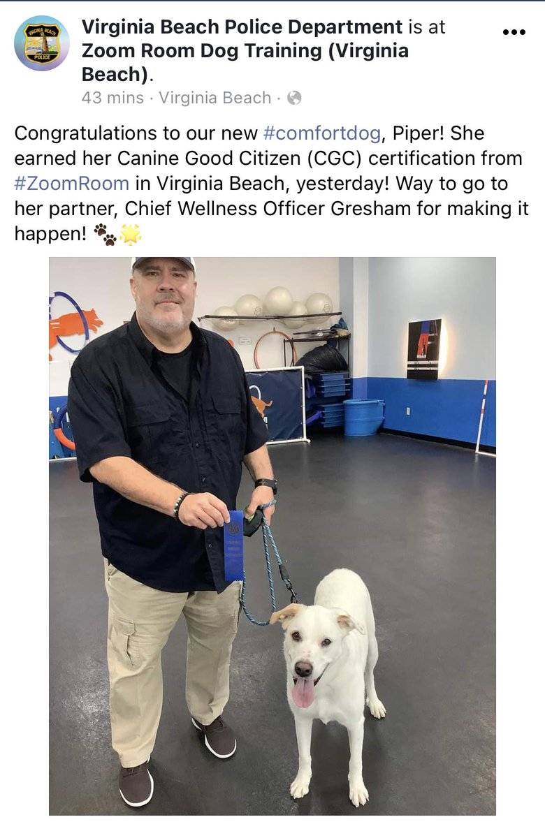 #RescueDog Piper here!  I now have my own account. I am a #ComfortDog for <a href="/VBPD/">Virginia Beach Police Department</a> and I will share pics of my life here.   I love what I do!   #OfficerWellness
#mindfulness
#resiliency
#comfortdog
#optimism