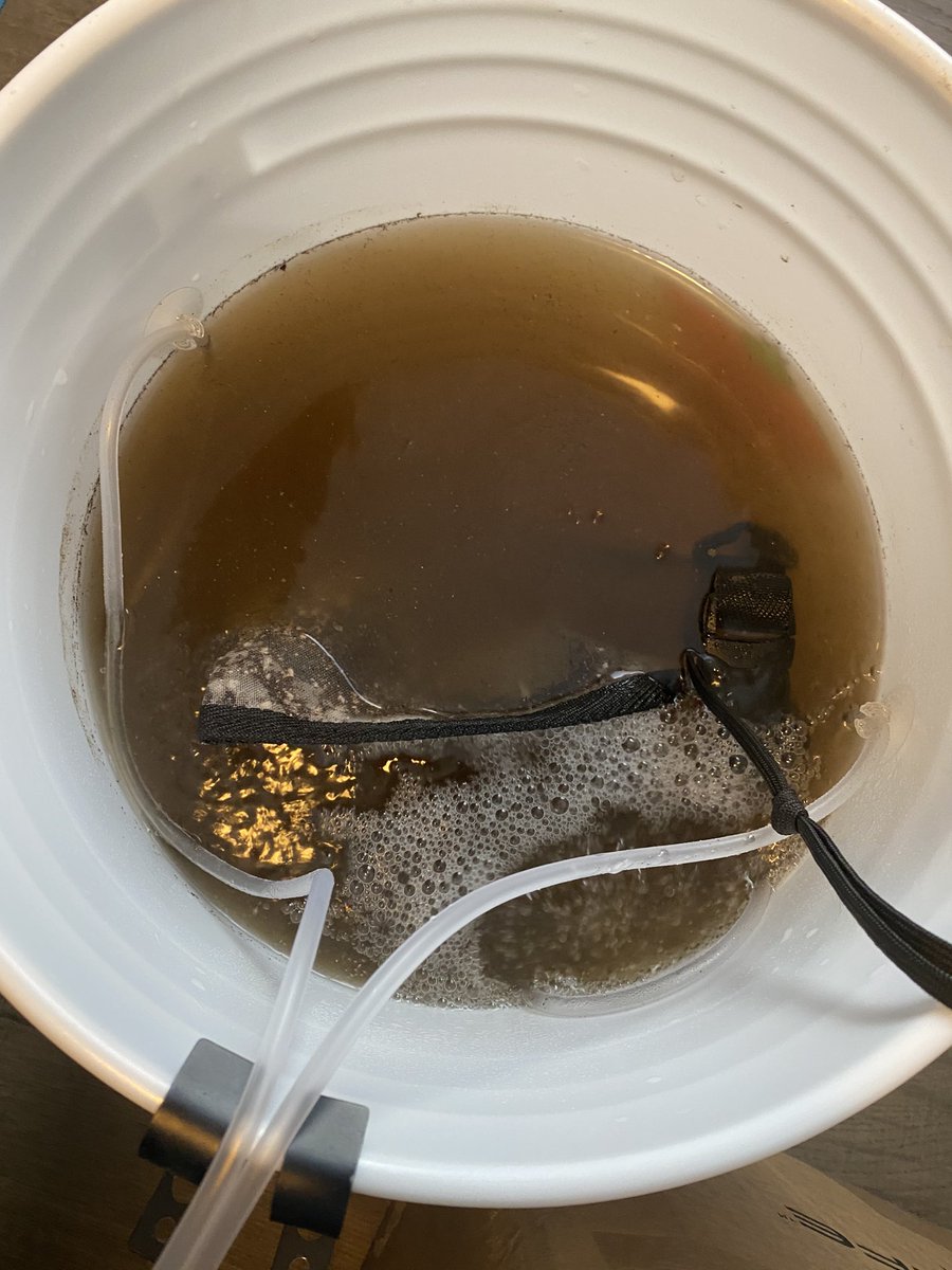 terpytrichomes's tweet image. Goood morning pot pals! We’ve got something brewing this morning other than our coffee. It’s time for some compost tea! This is a first for us, any advice on what works best for your grows?? 

#Mmemberville #growyourown #composttea #CannabisCommunity #livingsoil