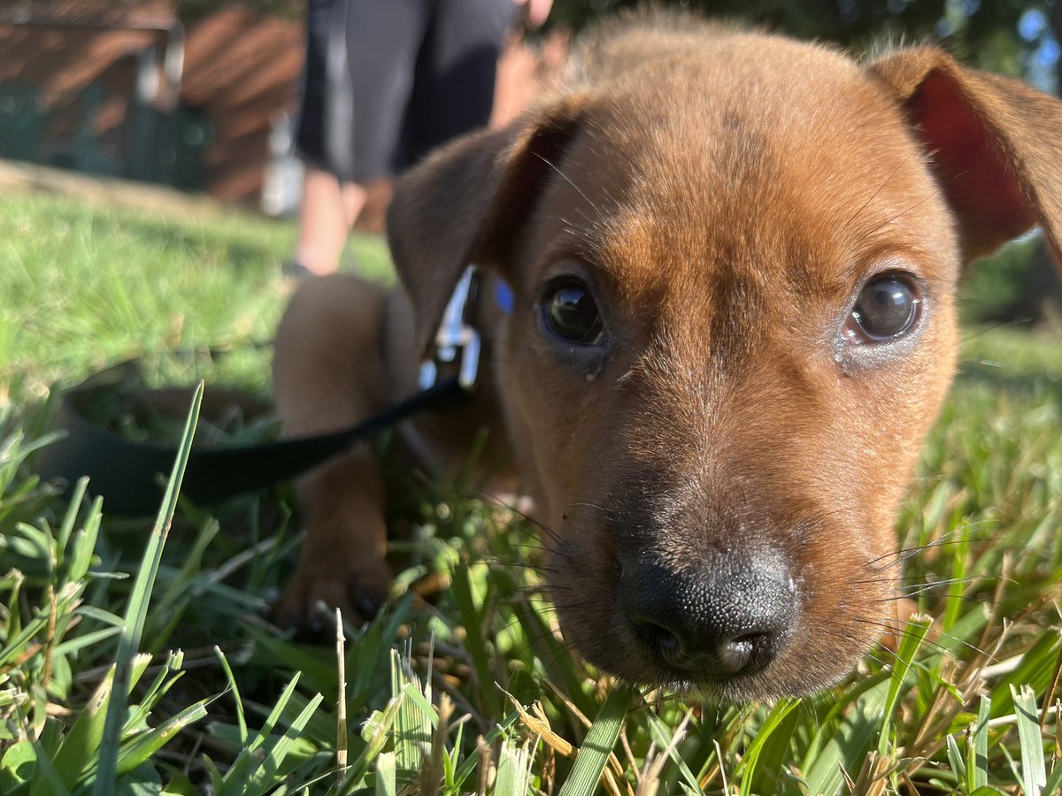 toxic_kutee's tweet photo. Meet grizzly ❤️🥰 https://t.co/KhXGe9XviB