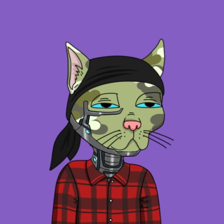 Shout out to the team over at <a href="/MekazukiHQ/">MKZ</a> for the meka upgrade to my #GutterCat #GutterCatGang #GangGang